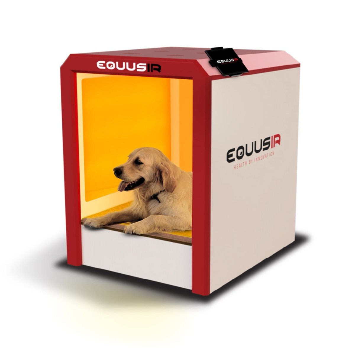 BEST-BOX – EQUUSIR - Main Image