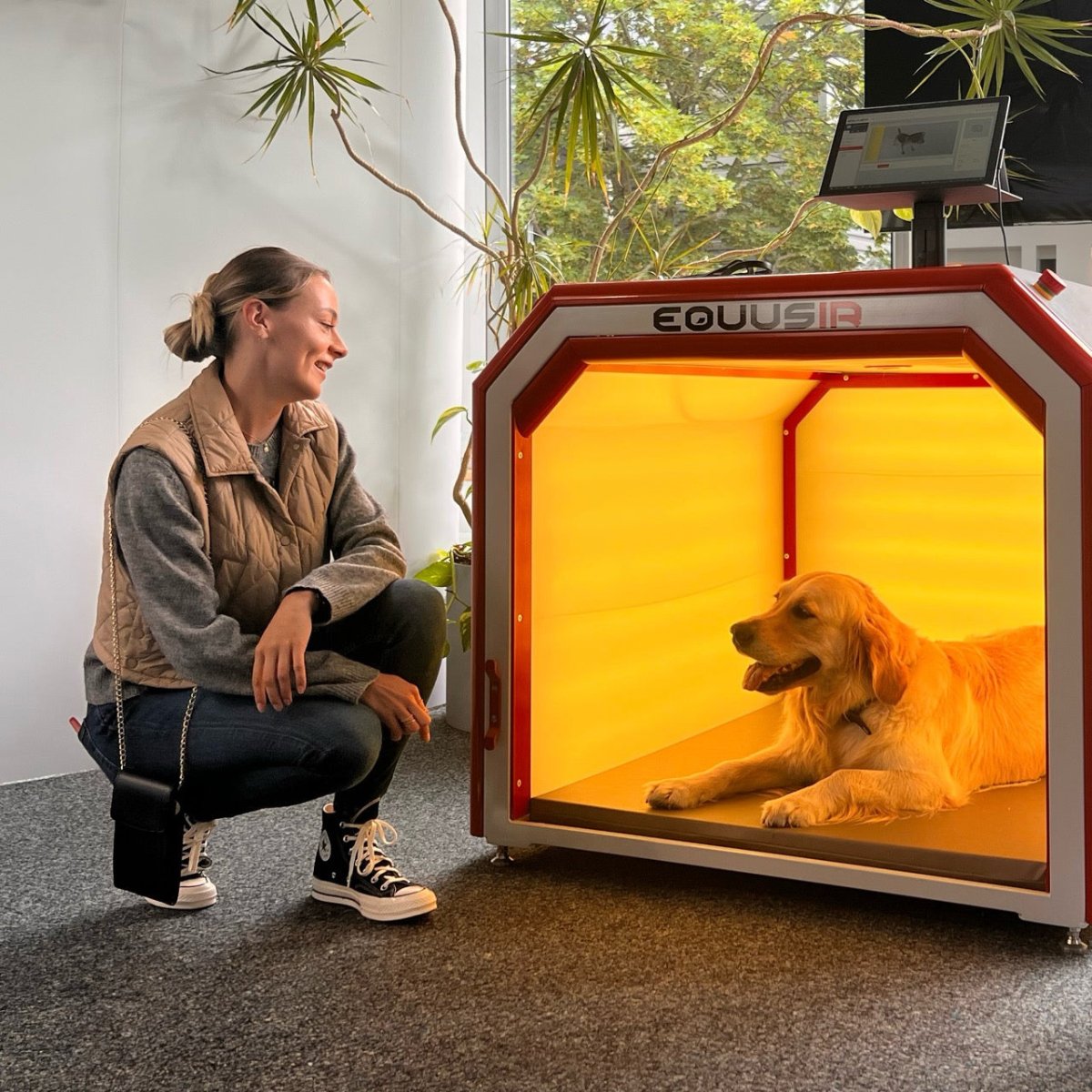 BEST - BOX - EQUUSIR