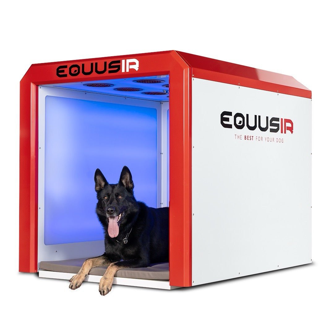 BEST - BOX - EQUUSIR