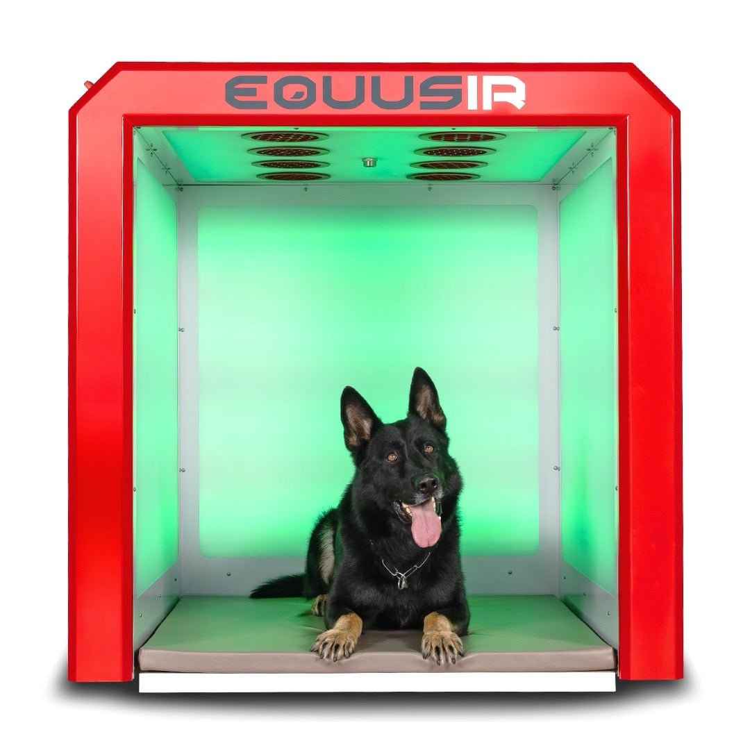 BEST - BOX - EQUUSIR