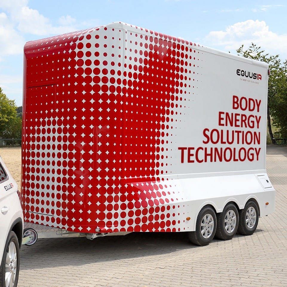 BEST - BOX - EQUUSIR