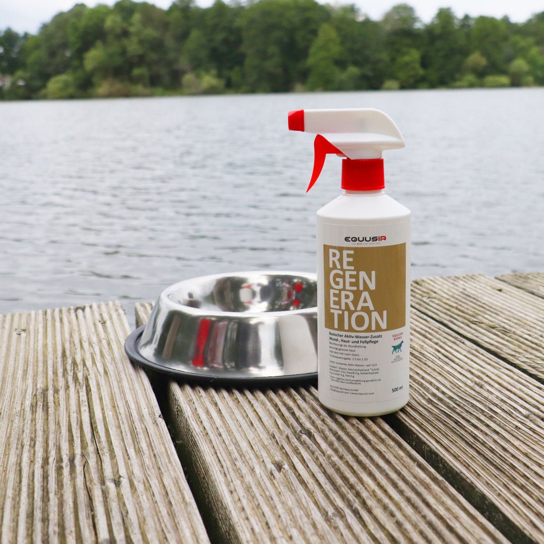 BIONIC Regeneration Dog