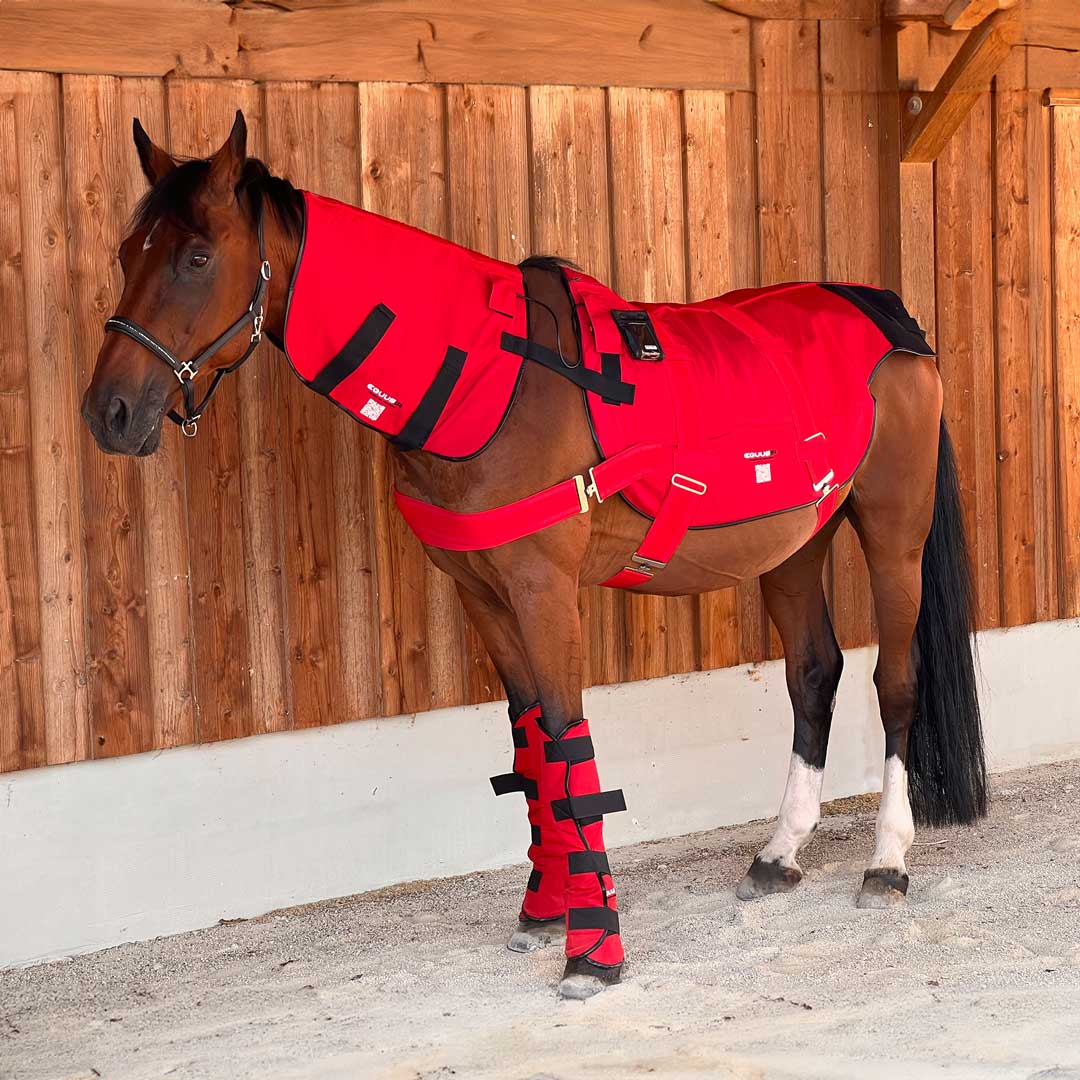 BIOS Komplettset - EQUUSIR