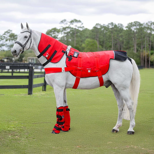 BIOS Komplettset - EQUUSIR