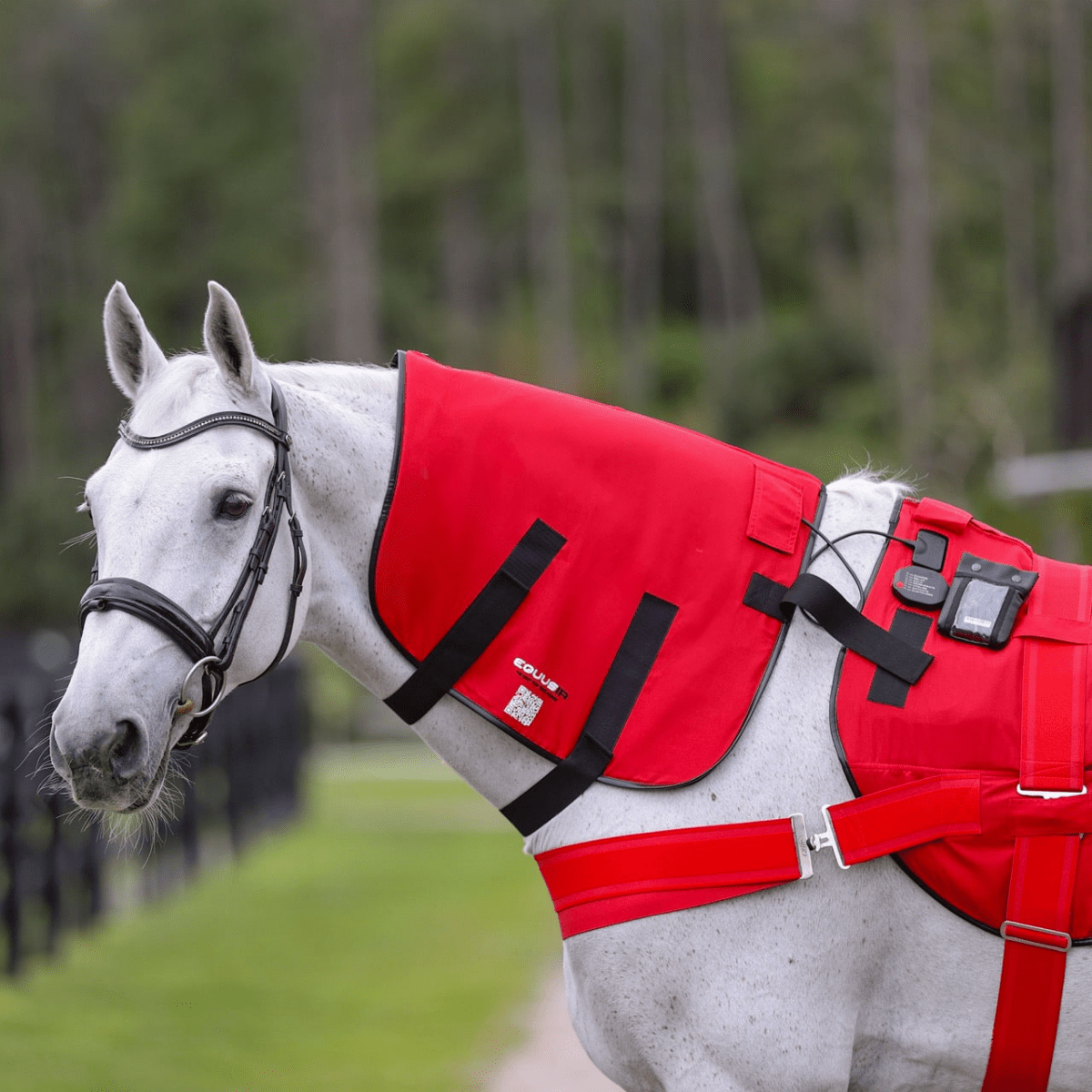 BIOS Komplettset - EQUUSIR