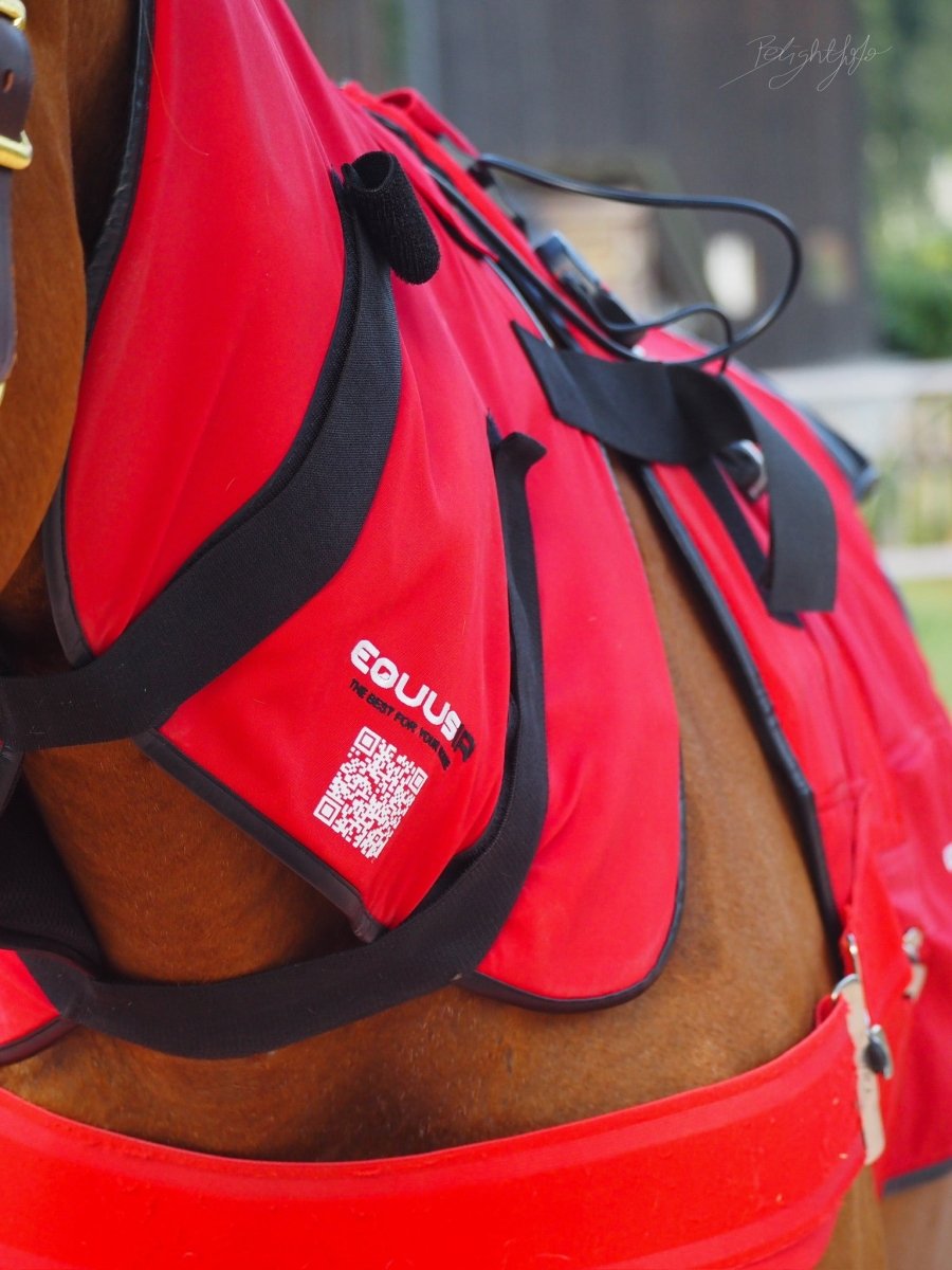 BIOS Pferdedecke - EQUUSIR