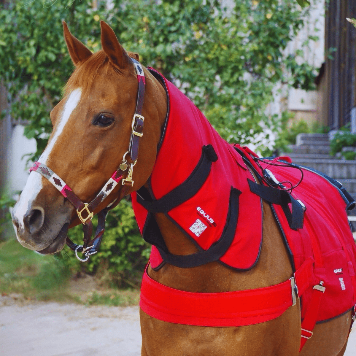 BIOS Pferdedecke - EQUUSIR