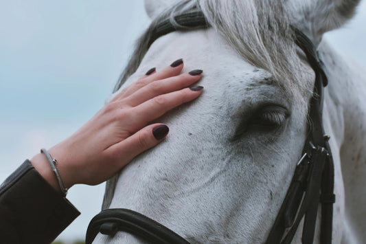 Plötzliche Wesensveränderung beim Pferd – Ursachen, Symptome und Lösungen - EQUUSIR