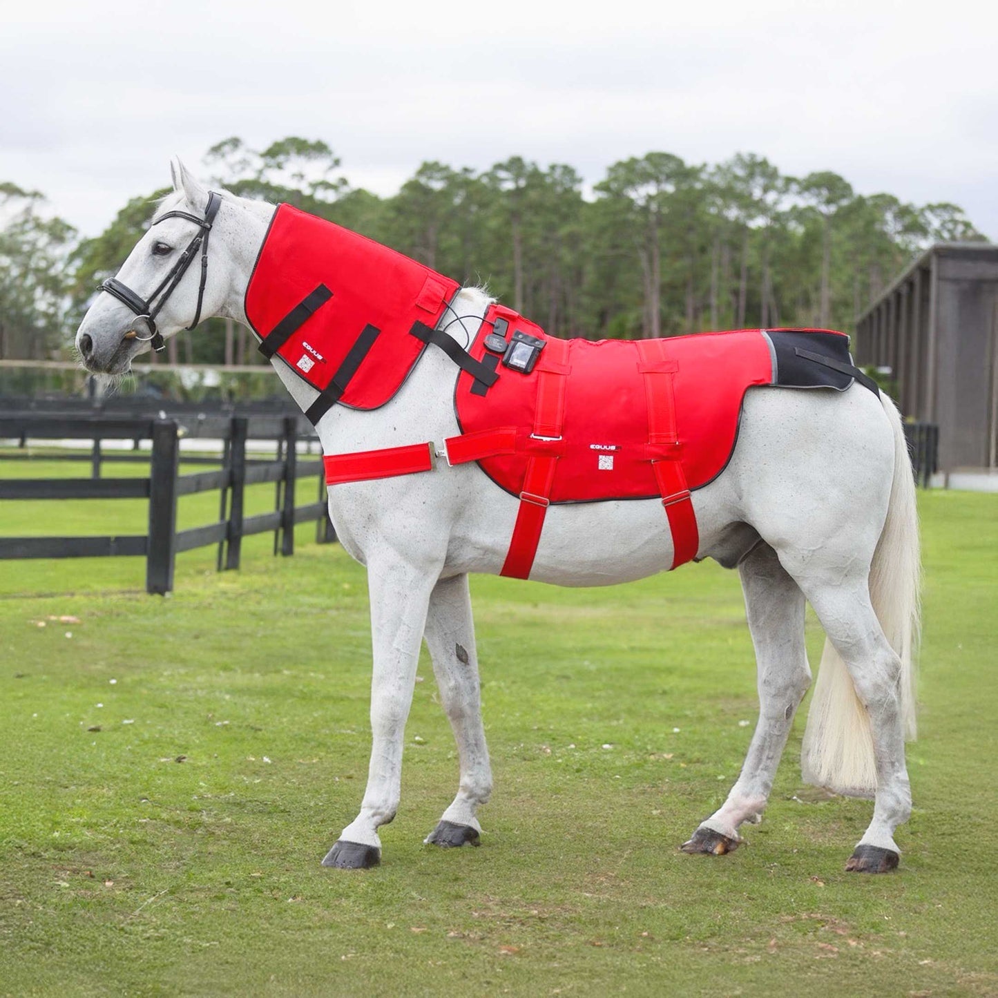 BIOS Horse Blanket