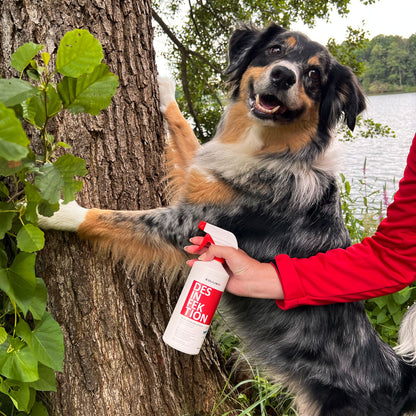 BIONIC Desinfektion Hund - EQUUSIR