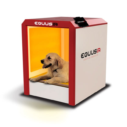 BEST - BOX - EQUUSIR