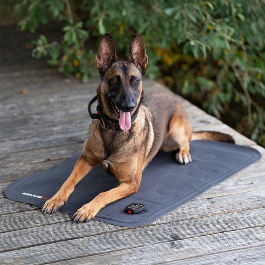 BIOS TRAVEL Hundedecke - EQUUSIR