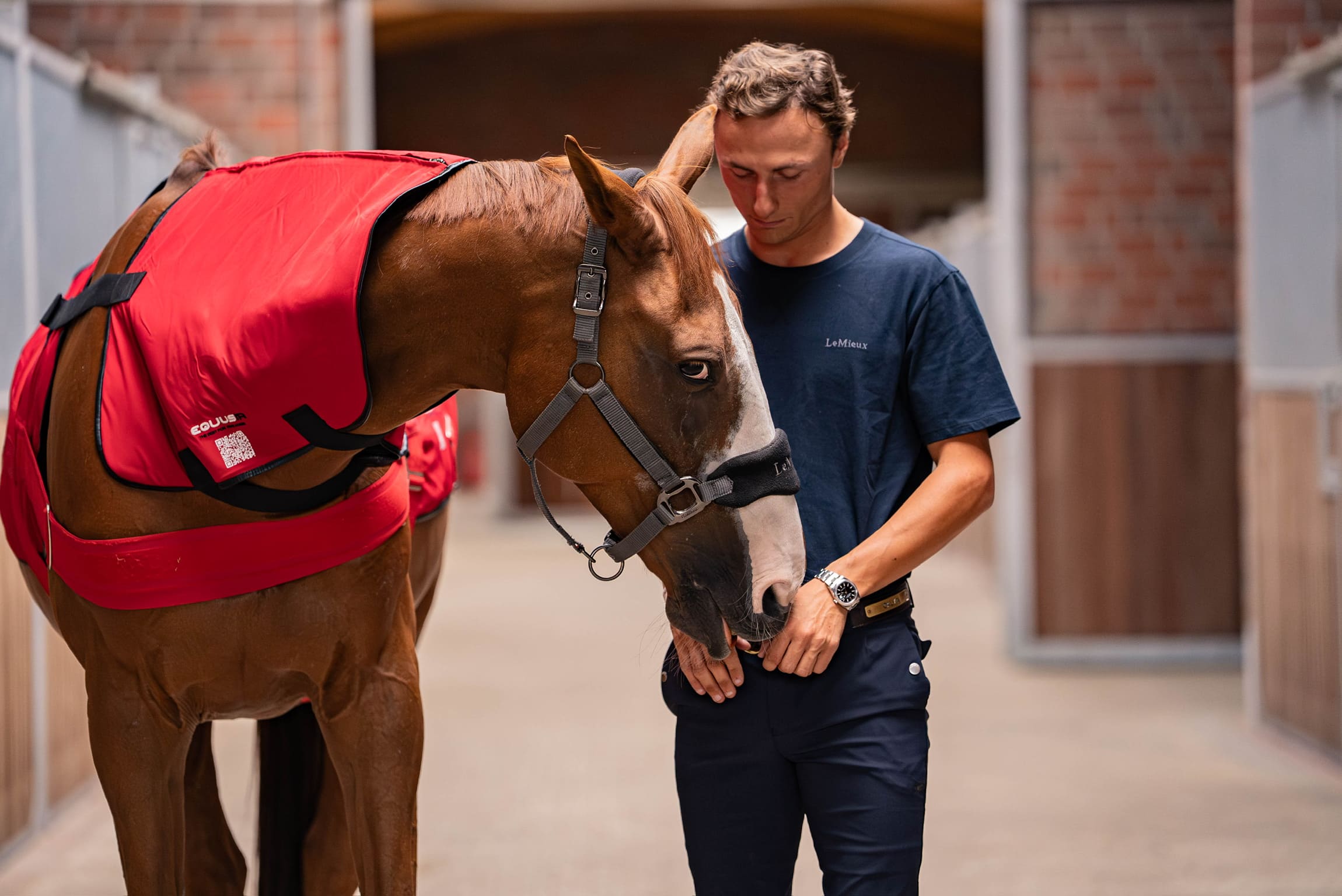 BIOS Horse Blanket | The magnetic field blanket for your horse