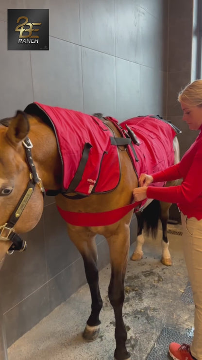 BIOS Horse Blanket